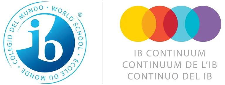 IB Continuum 
