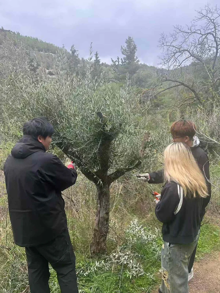 Ημέρες εθελοντισμού στον Υμηττό