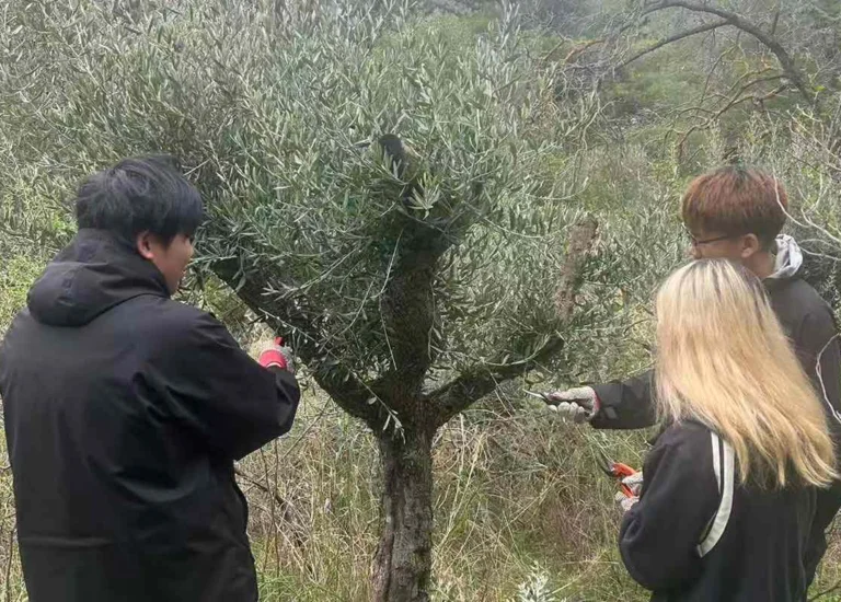 Ημέρες εθελοντισμού στον Υμηττό