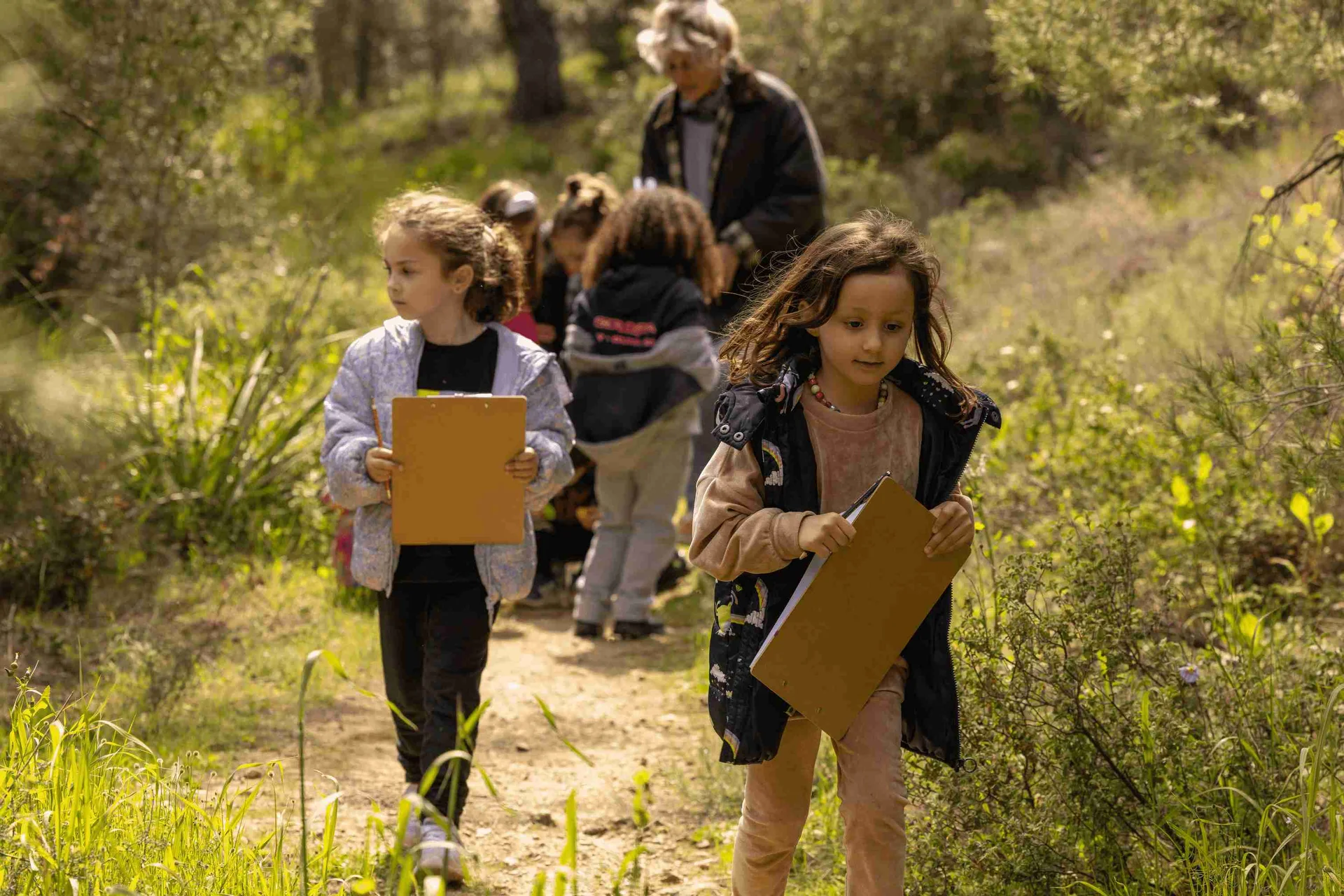 Πρόγραμμα πρωτοβάθμιας εκπαίδευσης IB