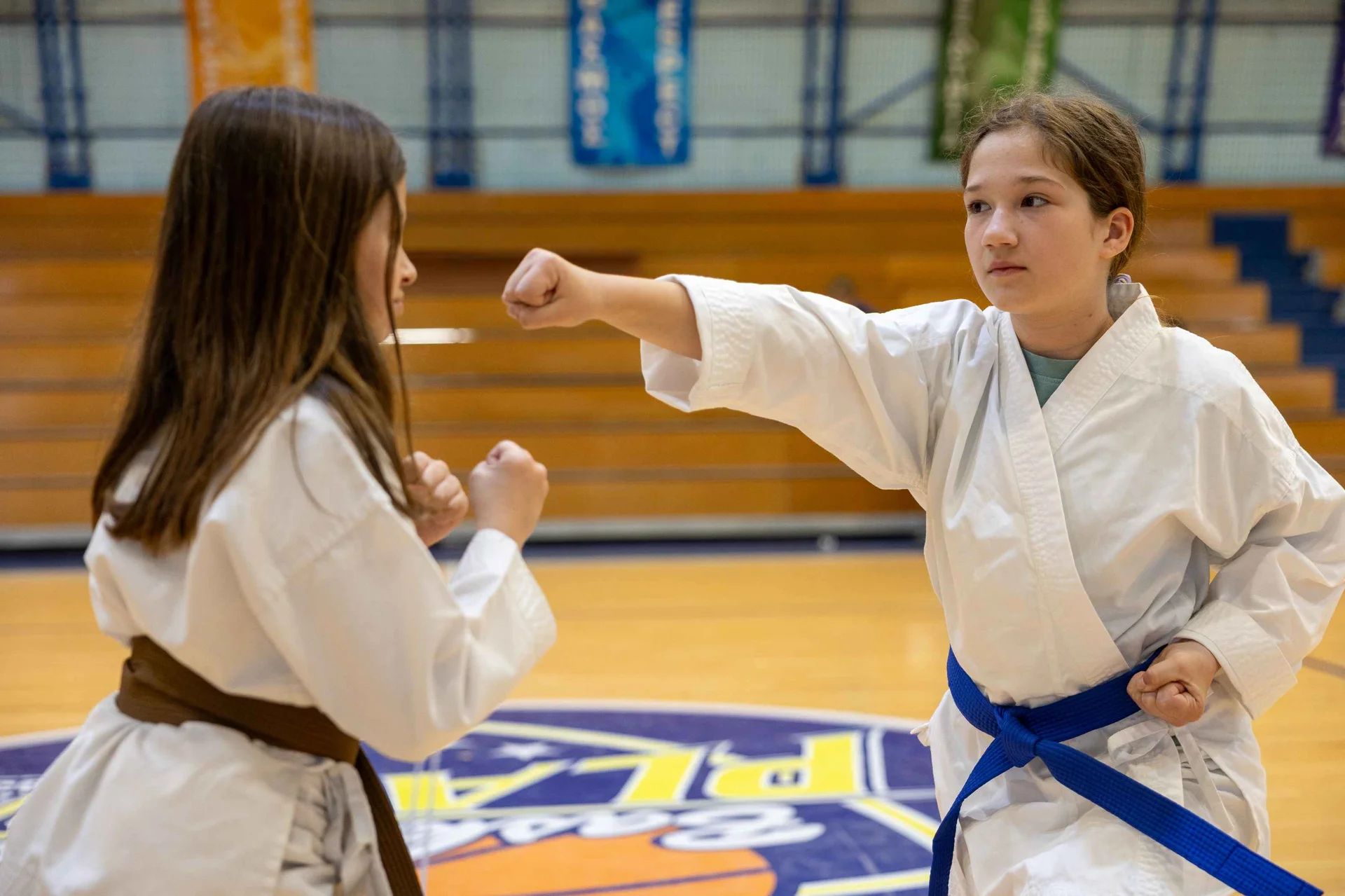 Pathways for every karateka