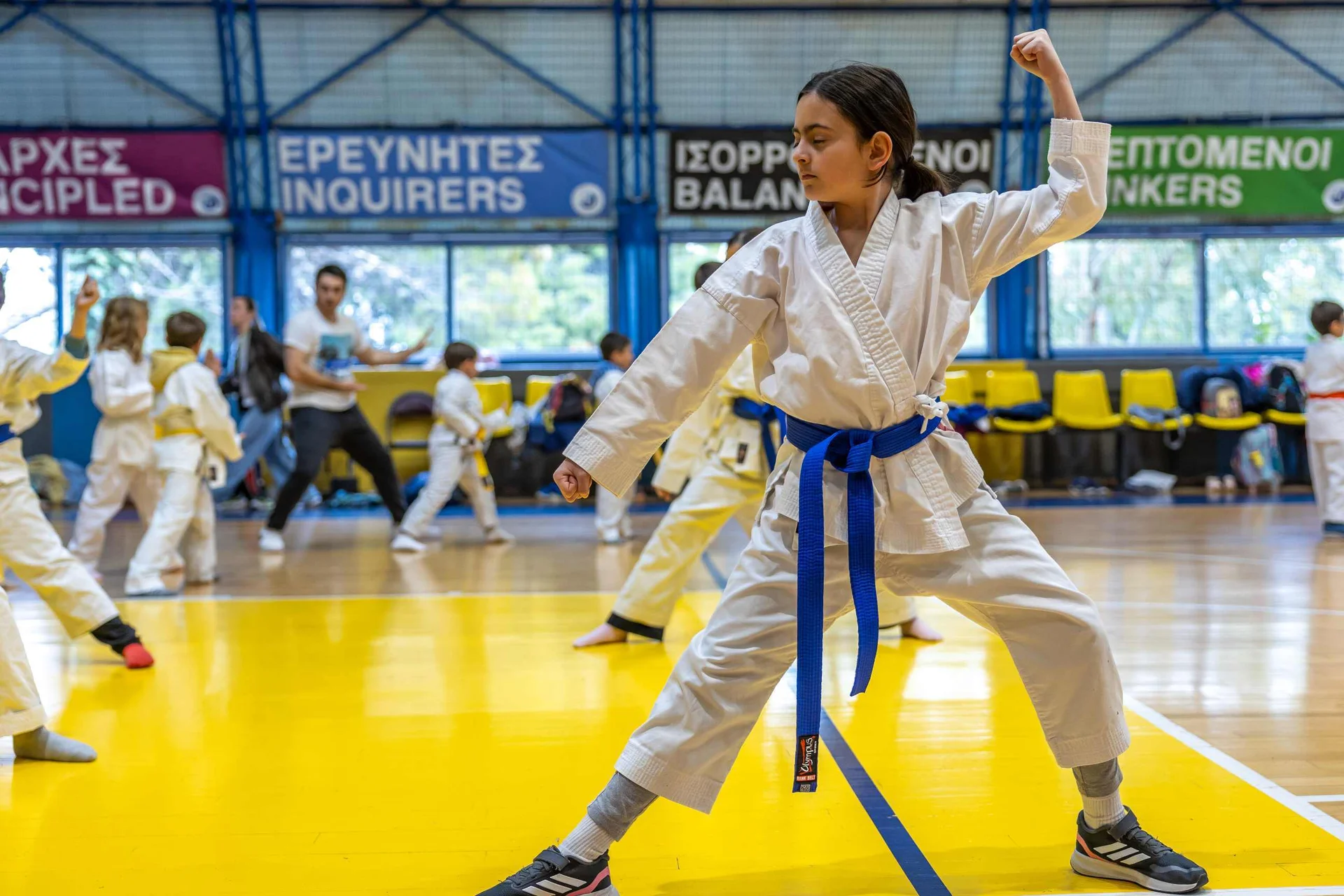 Beyond the basics in karate